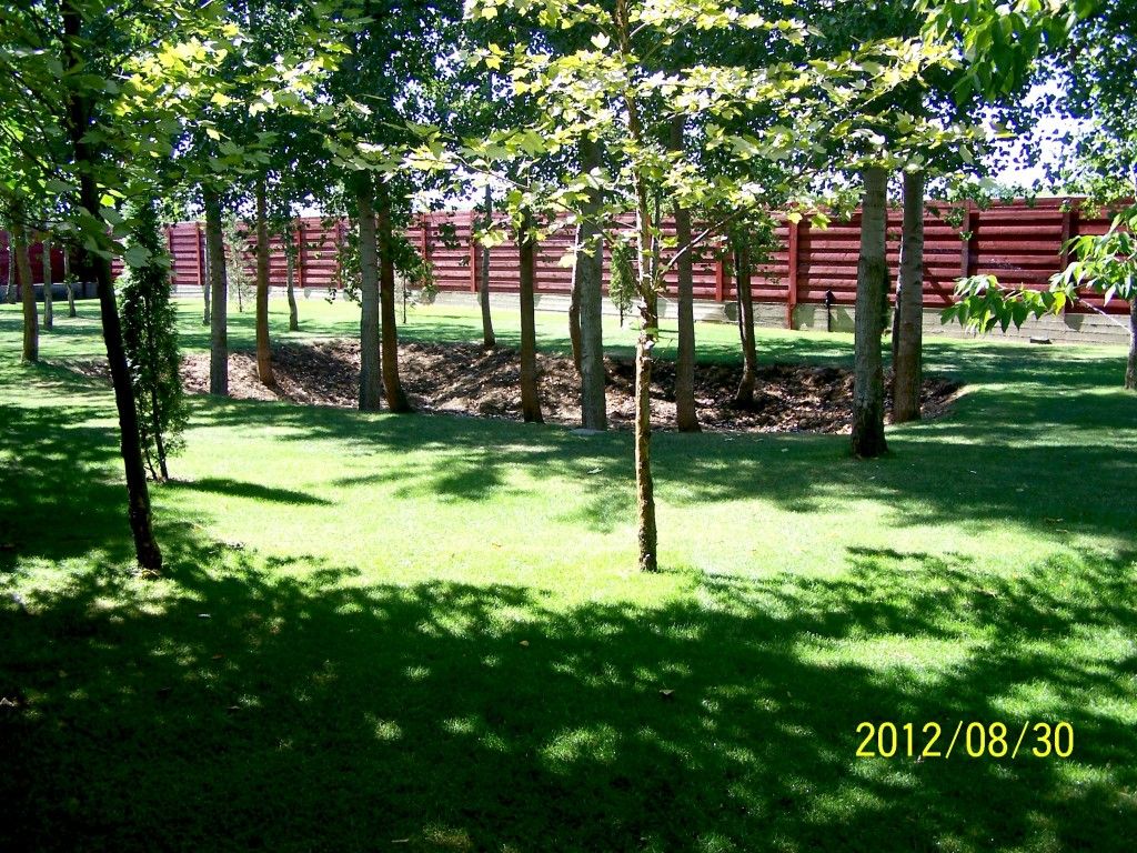kepatmeretezes_hu_100_4469