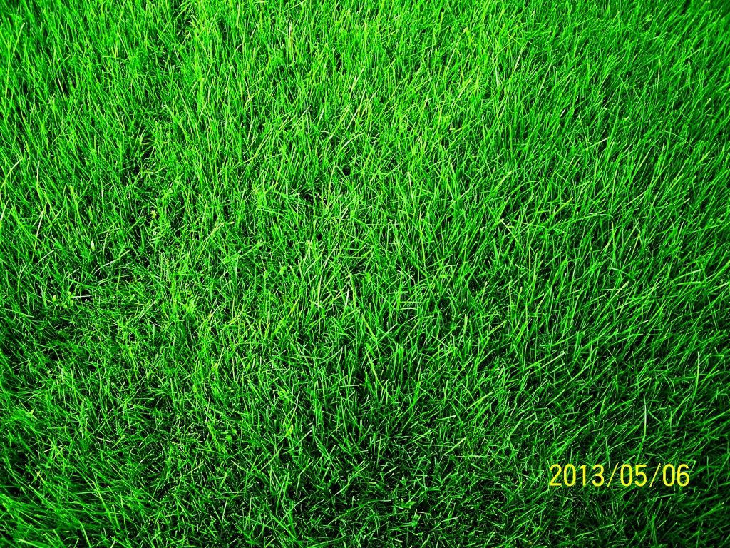kepatmeretezes_hu_100_4822