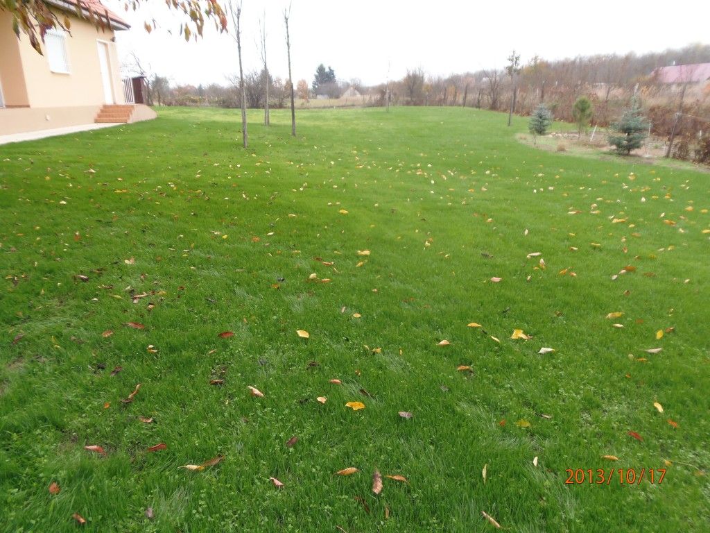 kepatmeretezes_hu_elotte_utana_12_bodaszl_pihenkert