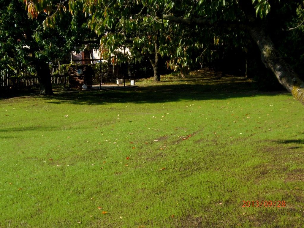 kepatmeretezes_hu_P9280188