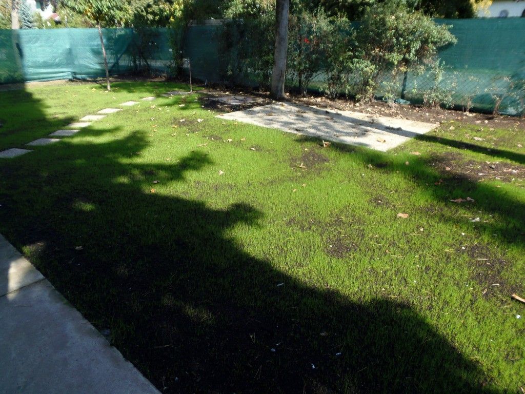 kepatmeretezes_hu_PA080493