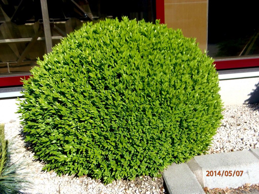 kepatmeretezes_hu_P5070173
