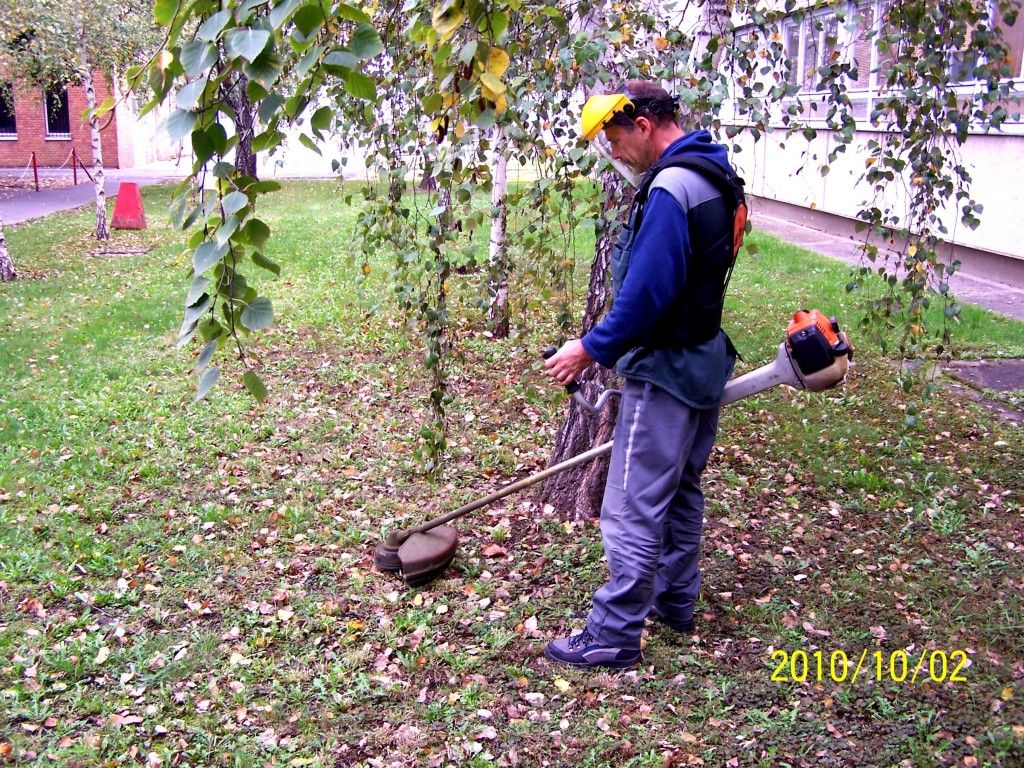 kepatmeretezes_hu_parkgondozs