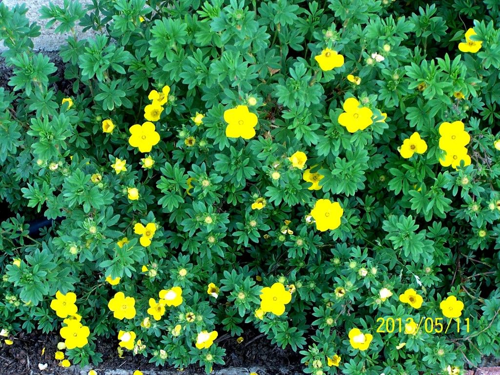 kepatmeretezes_hu_100_4850