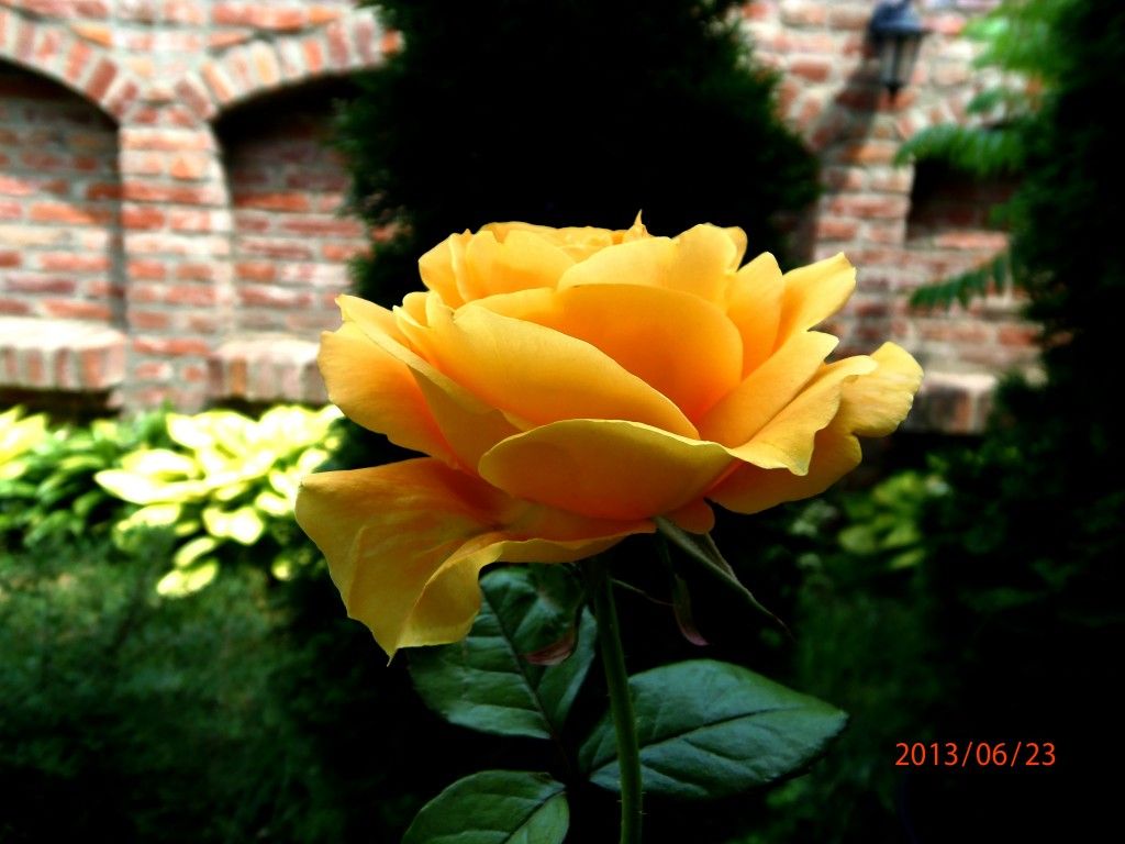 kepatmeretezes_hu_P6230050