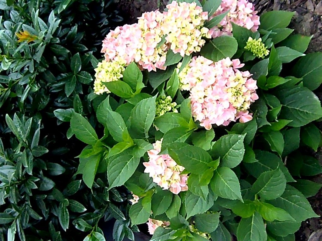 kepatmeretezes_hu_P6270013