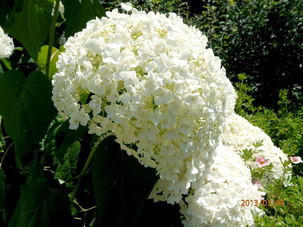 kepatmeretezes_hu_P7040073